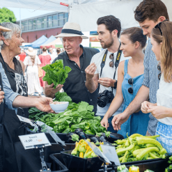 Half Day Market Tour & Cooking Clas - Saigon tour