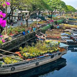 Awesome Ho Chi Minh City Day Tours from Cruise Port