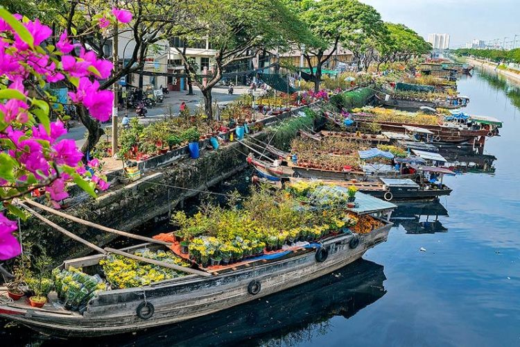Awesome Ho Chi Minh City Day Tours from Cruise Port