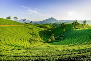 Best 10+ Beautiful Natural Wonders In Vietnam Updated 2025-2026