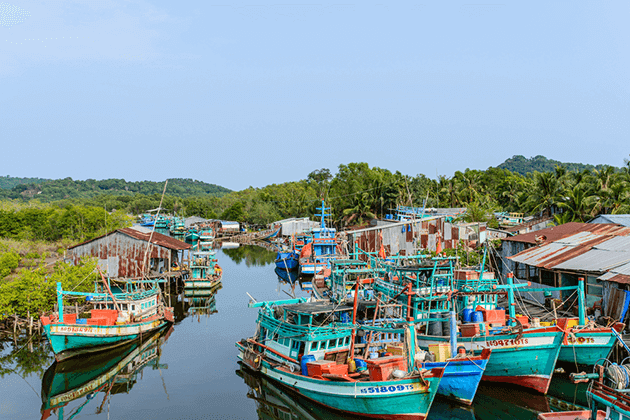 Fishing Board in Phu Quoc Island