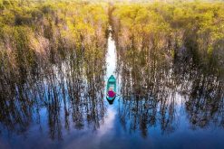 Boat Trip in Tram Chim National Park