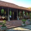Cai thia - Ut trinh homestay