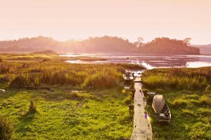 Cat Tien National Park Travel Guides