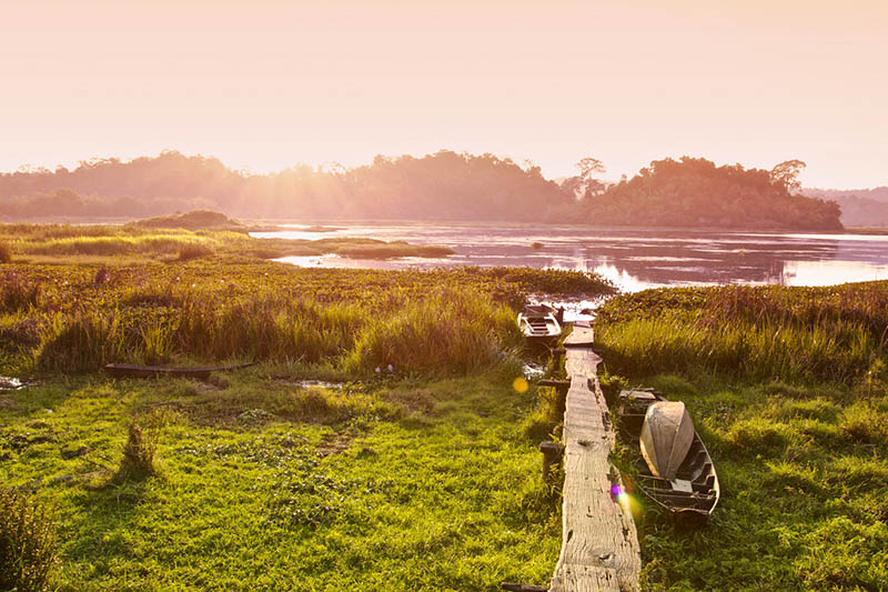 Cat Tien National Park – Things To Do & Essential Guides - Saigon Local Tour