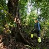 Cat Tien National Park rainforest and tropical forest landscape
