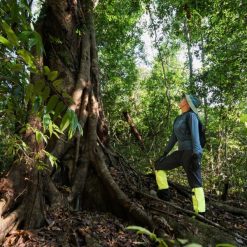 Cat Tien National Park rainforest and tropical forest landscape