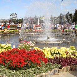 Dalat Flower Park - Dalat tour from Ho Chi Minh