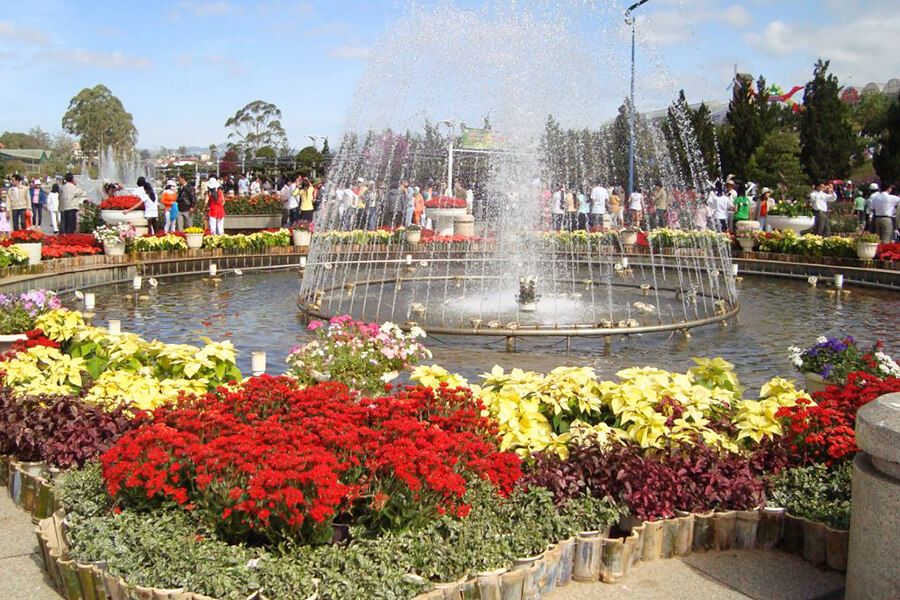 Dalat Flower Park - Dalat tour from Ho Chi Minh