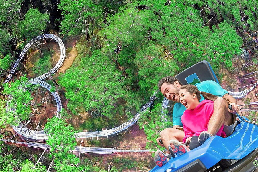 Datanla New Alpine Coaster - Dalat tour from Ho Chi Minh