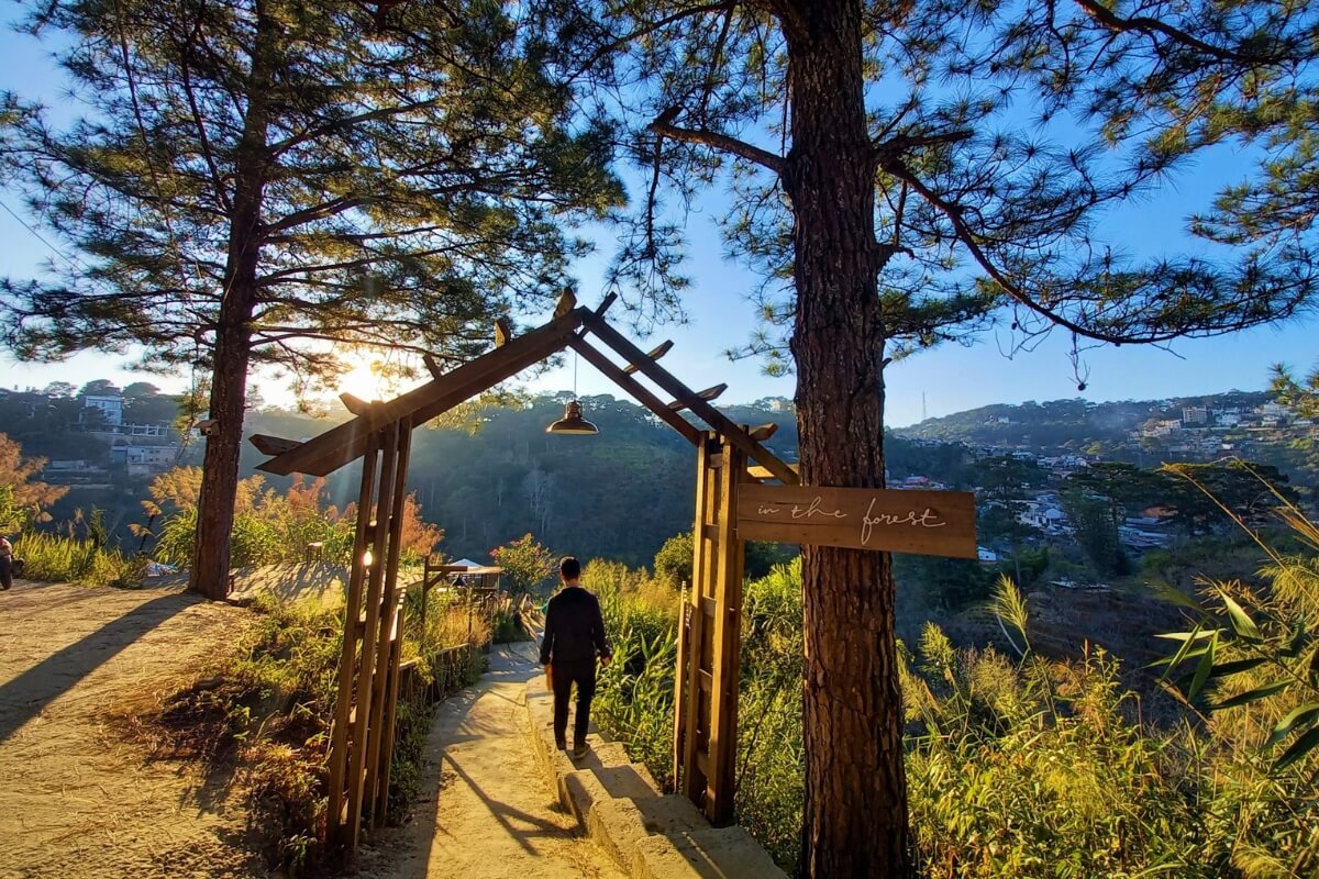 Enjoy Dalat’s Coffee Culture at Specialty Cafés