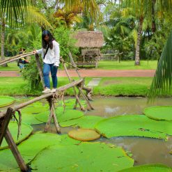 Experience traditional village Binh Quoi in Saigon tours