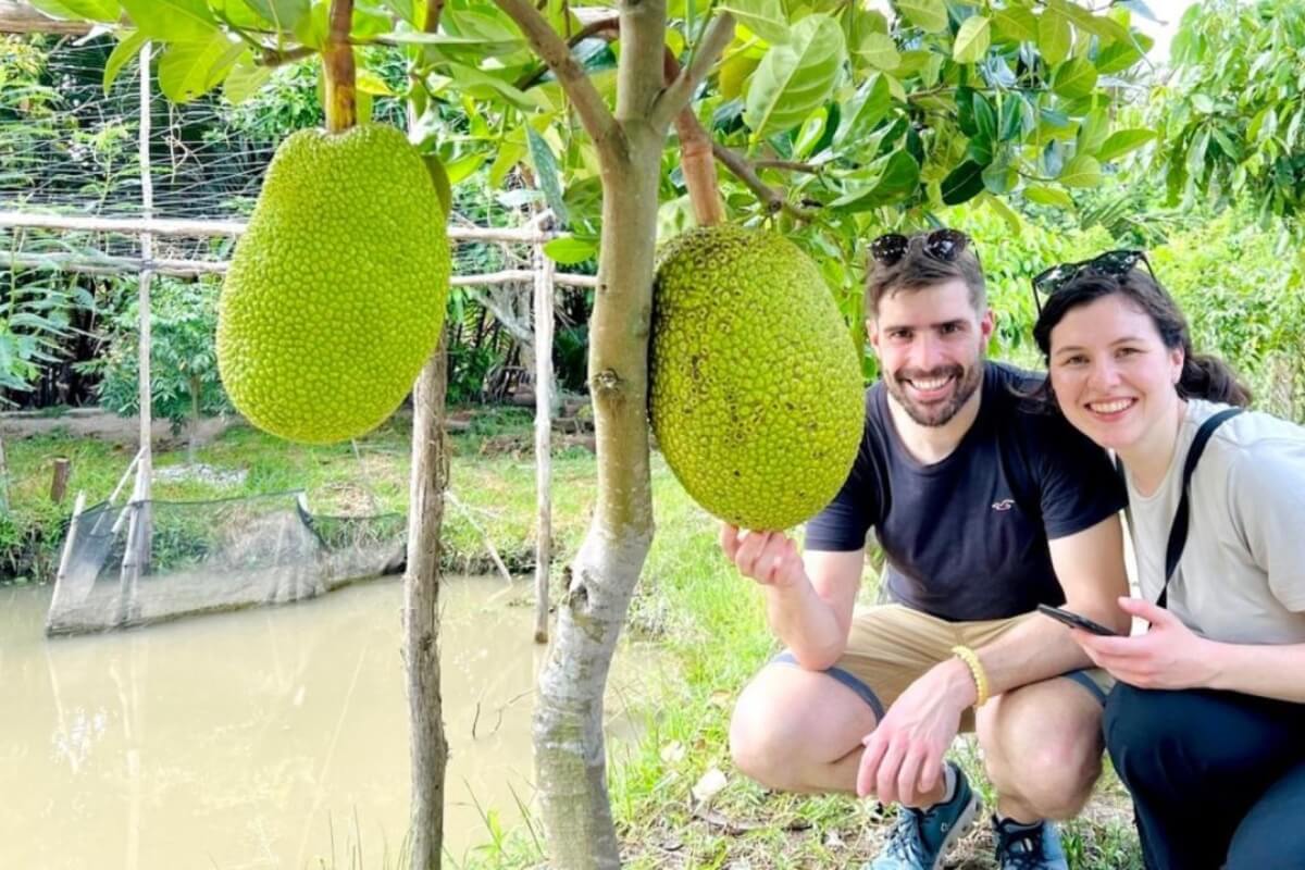 Explore Lush Tropical Fruit Orchards