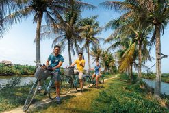Explore South to Central Vietnam Tour