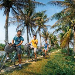 Explore South to Central Vietnam Tour