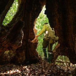 Family trekking through the rainforest to Bau Sau Crocodile Lake