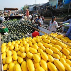 Floating Markets in Mekong Delta