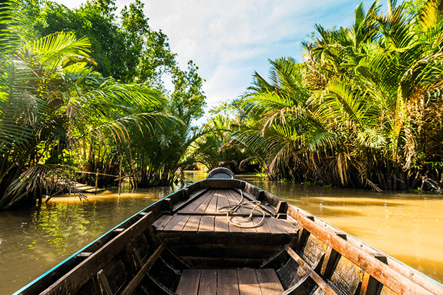 Glimpse of Mekong Delta
