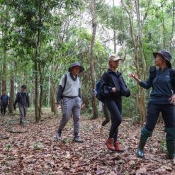 Guided jungle trekking through Cat Tien National Park