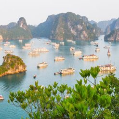 Halong Bay in Vietnam Tour