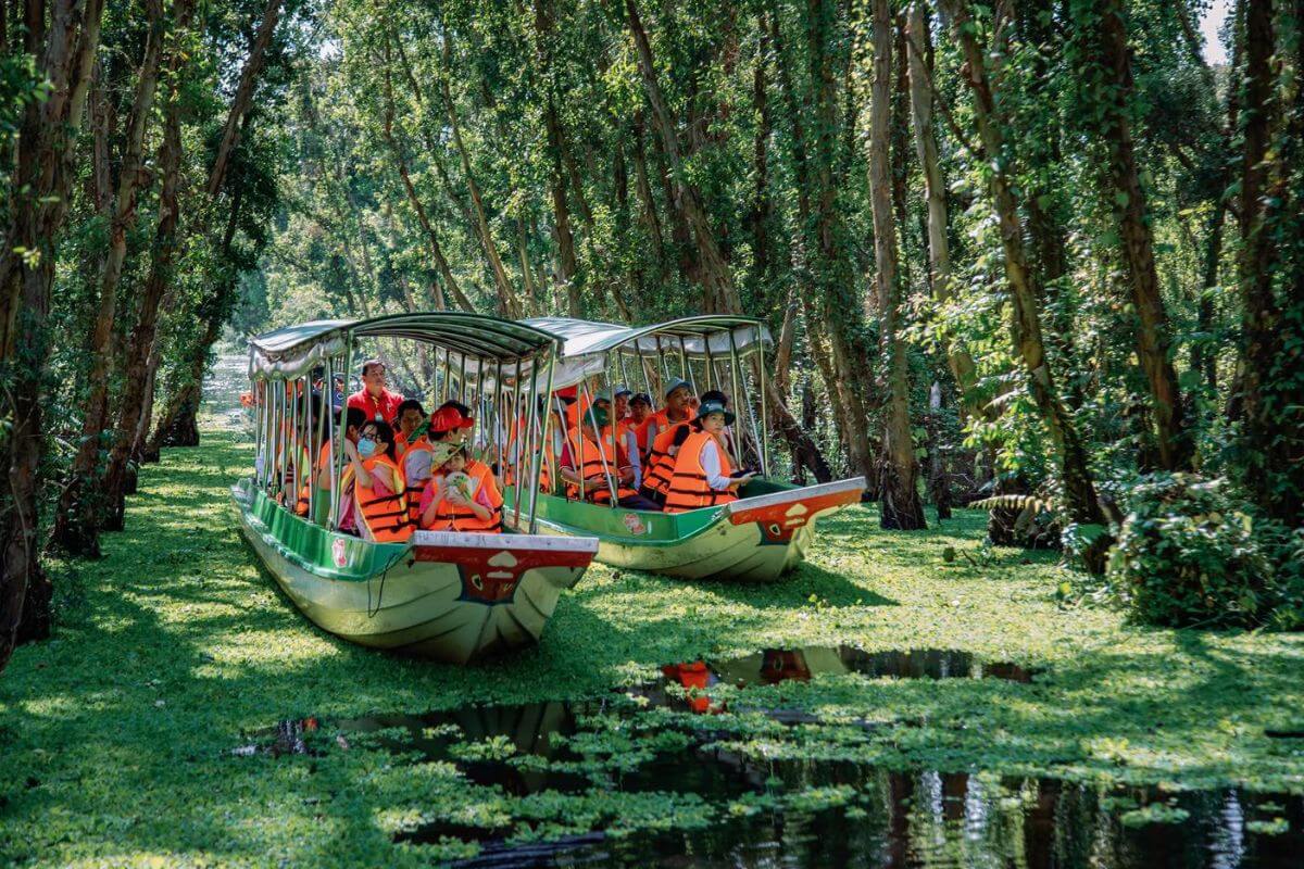 How to Visit Tra Su Cajuput Forest from Ho Chi Minh City Saigon