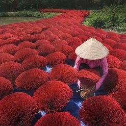 Incense Village in Long An - Saigon tour packages