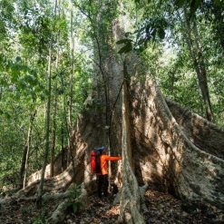 International visitors enjoying a nature and wildlife tour in Cat Tien
