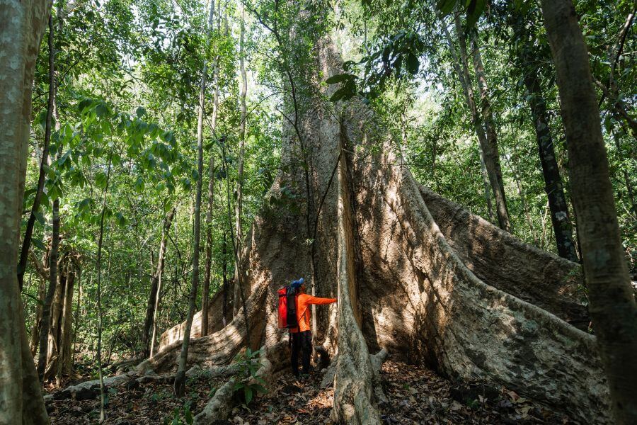 International visitors enjoying a nature and wildlife tour in Cat Tien International visitors enjoying a nature and wildlife tour in Cat Tien