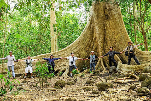 Jungle in Nam Cat Tien National Park tour