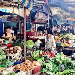 Local Market in Ho Chi Minh City