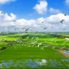 Mekong Delta Odyssey