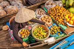 Mekong Delta Tour in Floating Market 1 Day