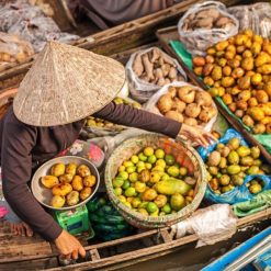 Mekong Delta Tour - Ho Chi Minh city tour