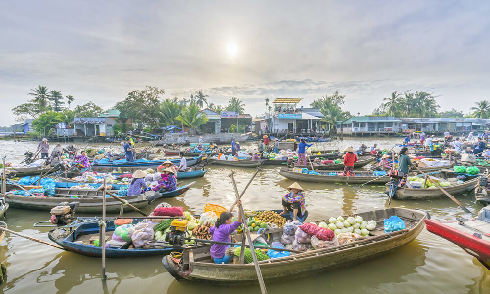 Mekong Delta Tours & Day Trips - Ho Chi Minh City Tours