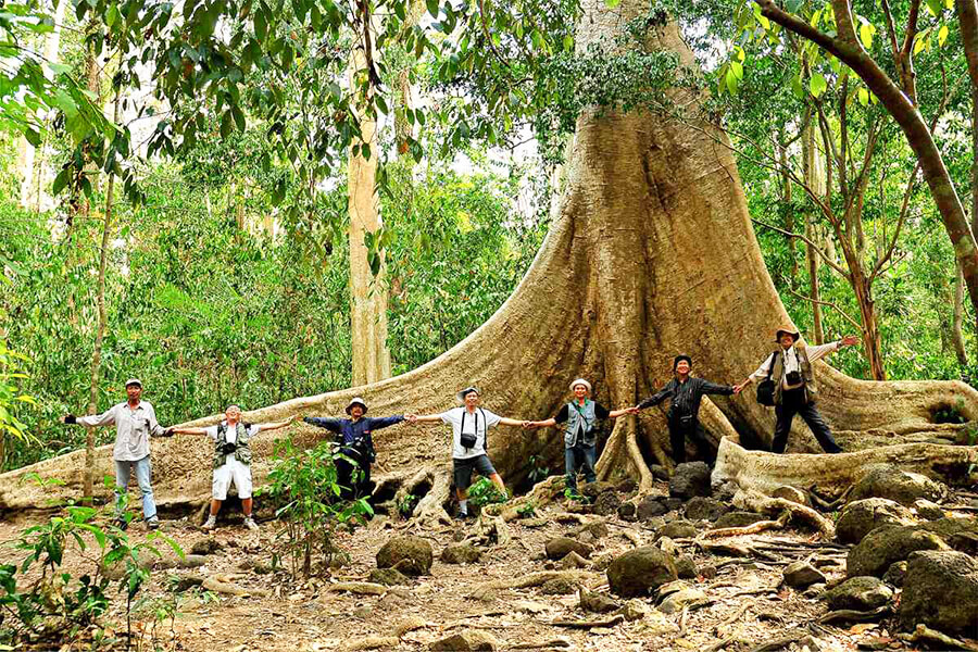 Nam Cat Tien National Park Tours