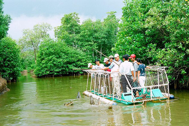 Natural Crocodile Lake in Vam Sat Mangrove