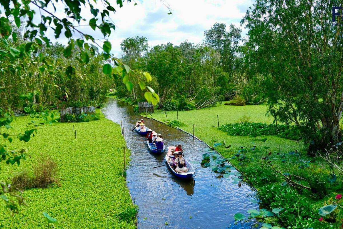 Photography and Slow Travel at Tra Su Cajuput Forest