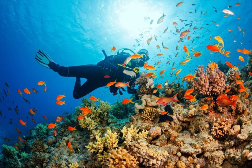 Phu Quoc Island _ Top 7+ Attractions, Things To Do & Snorkeling Spots