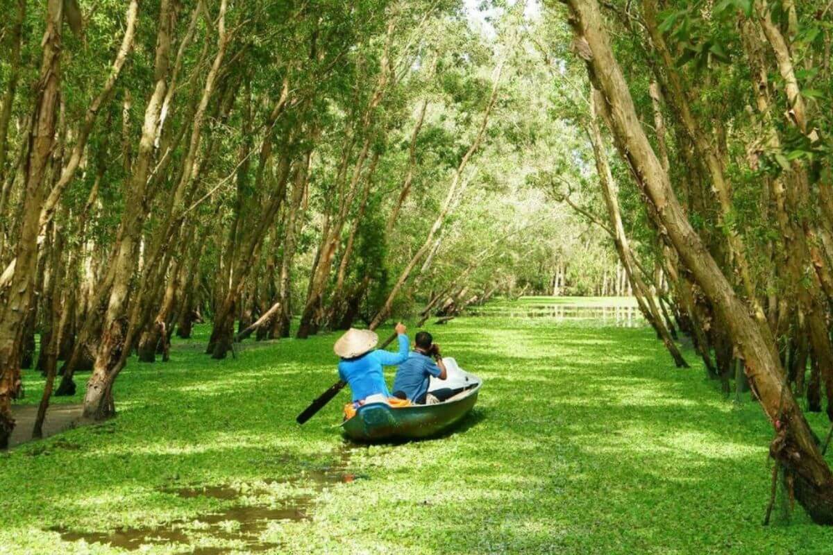 Sustainable Tourism and Responsible Visiting in tra su forest