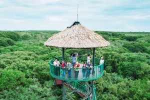 Tang Bong Watchtower Vam Sat Mangrove