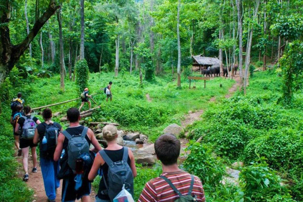 Top 15+ Vietnam National Parks to Explore – Complete Guide for Nature Lovers