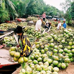 Ben Tre - Coconut Kingdom in Ho Chi Minh city tour