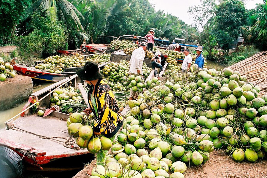 Ben Tre - Coconut Kingdom in Ho Chi Minh city tour