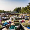 Treasure of Mekong Delta