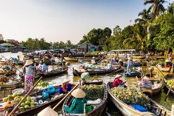 Treasure of Mekong Delta