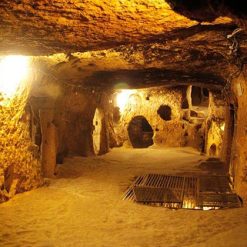 Visit Cu Chi Tunnels Phu My Shore Excursions