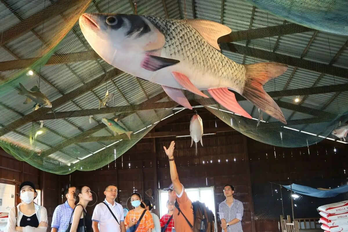 Visit Traditional Floating Fish Farms