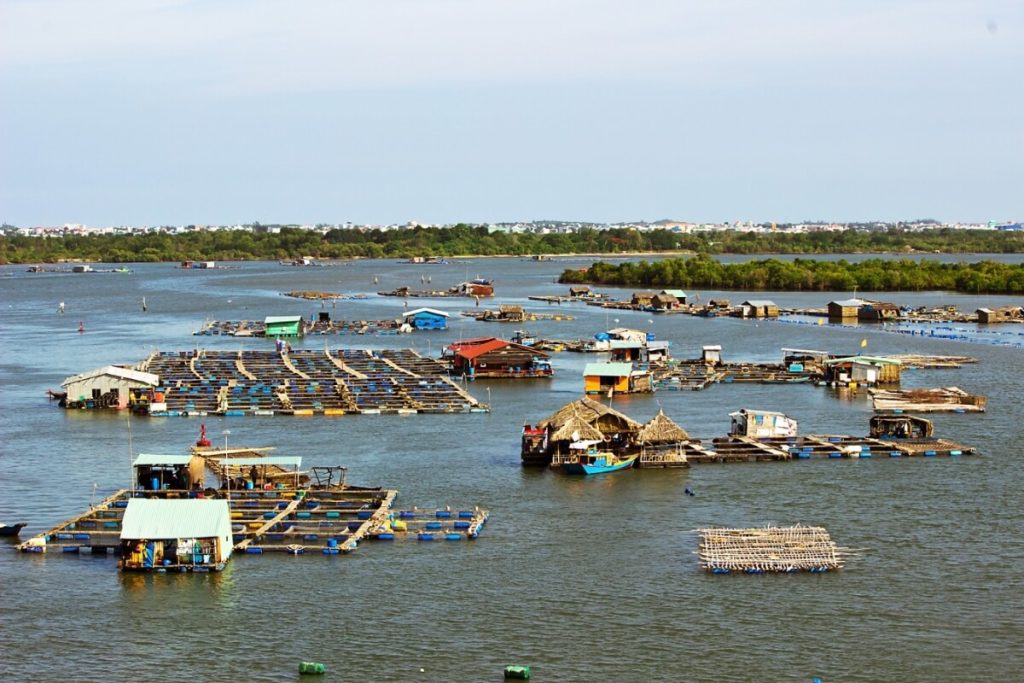 Visit the Raft Fish Village in mekong delta can tho from ho chi minh city tour