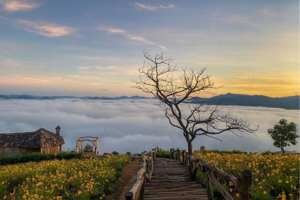 Why Dalat Vietnam Is One of Vietnam’s Most Charming Destinations