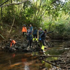 Wildlife and nature experience in Cat Tien National Park